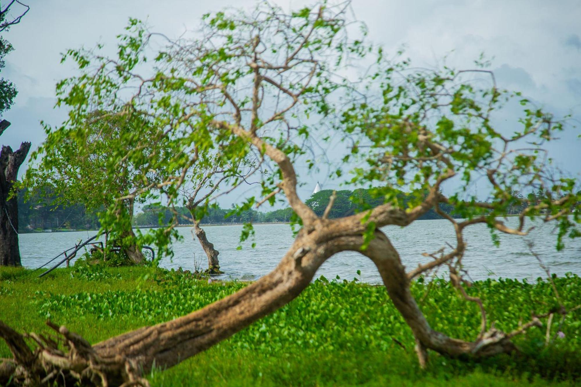 Lake Scape Yala Safari Inn Tissamaharama Exterior foto